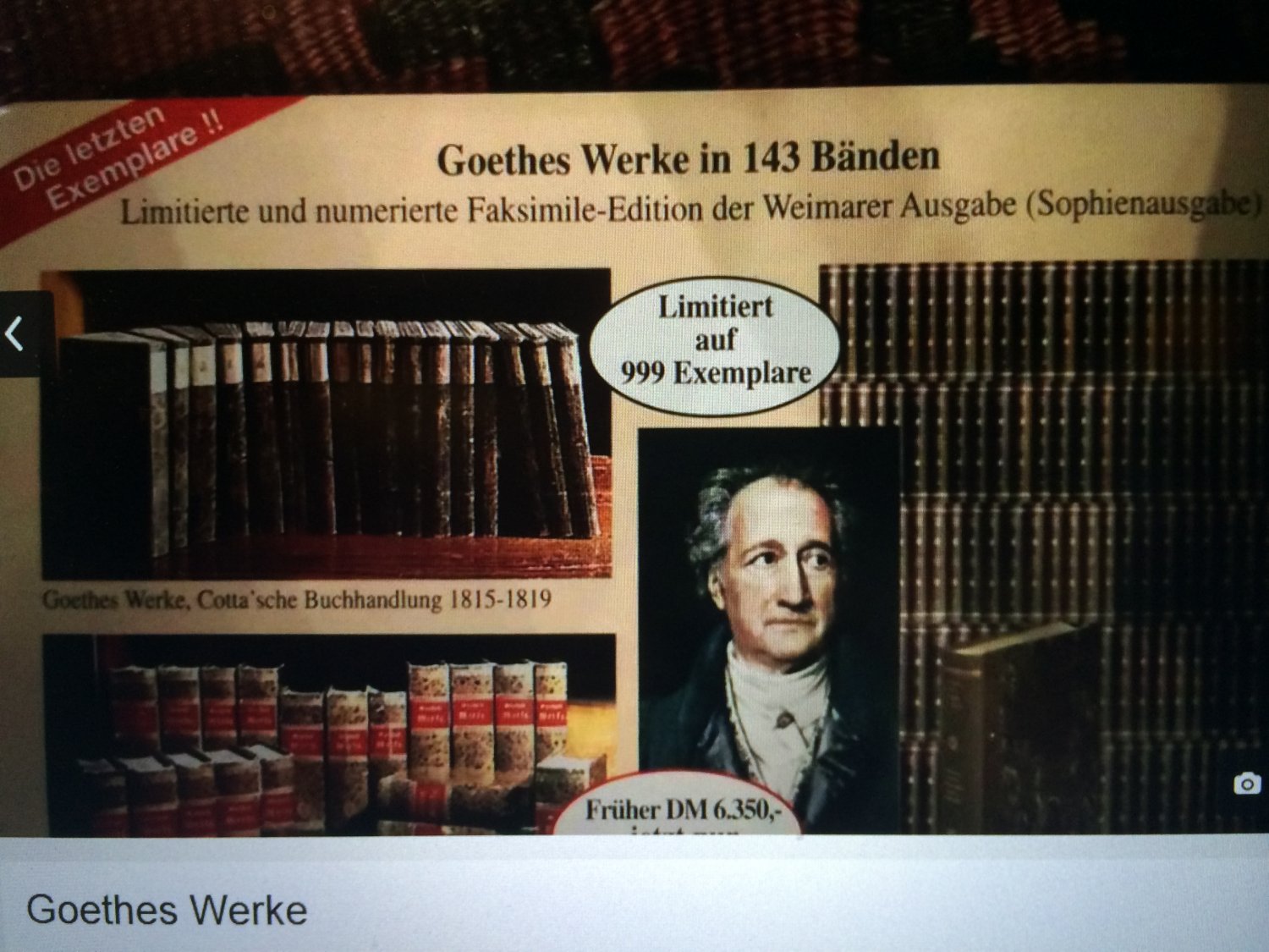 ゲーテ選集 Goethes Werke in zwoelf Baenden文学 - 洋書